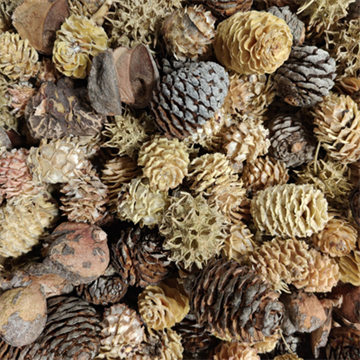 Sampak med blandede kogler 200 stk.